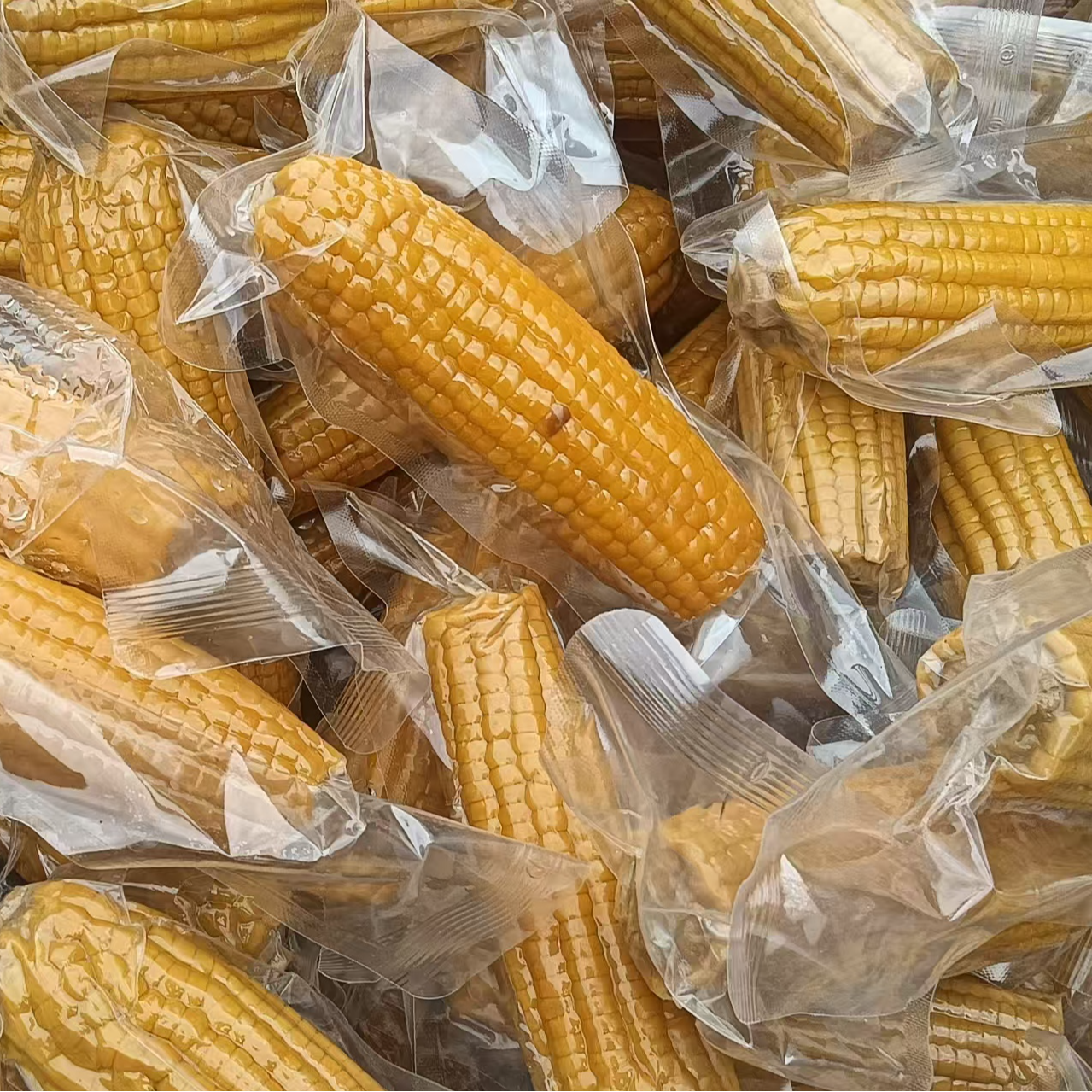 （残次棒 ）东北黄糯玉米（丑玉米）