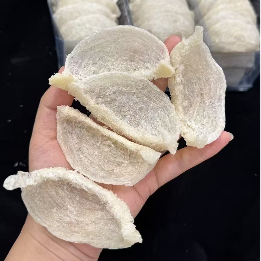 宝燕纪印尼雨季干挑溯源燕窝