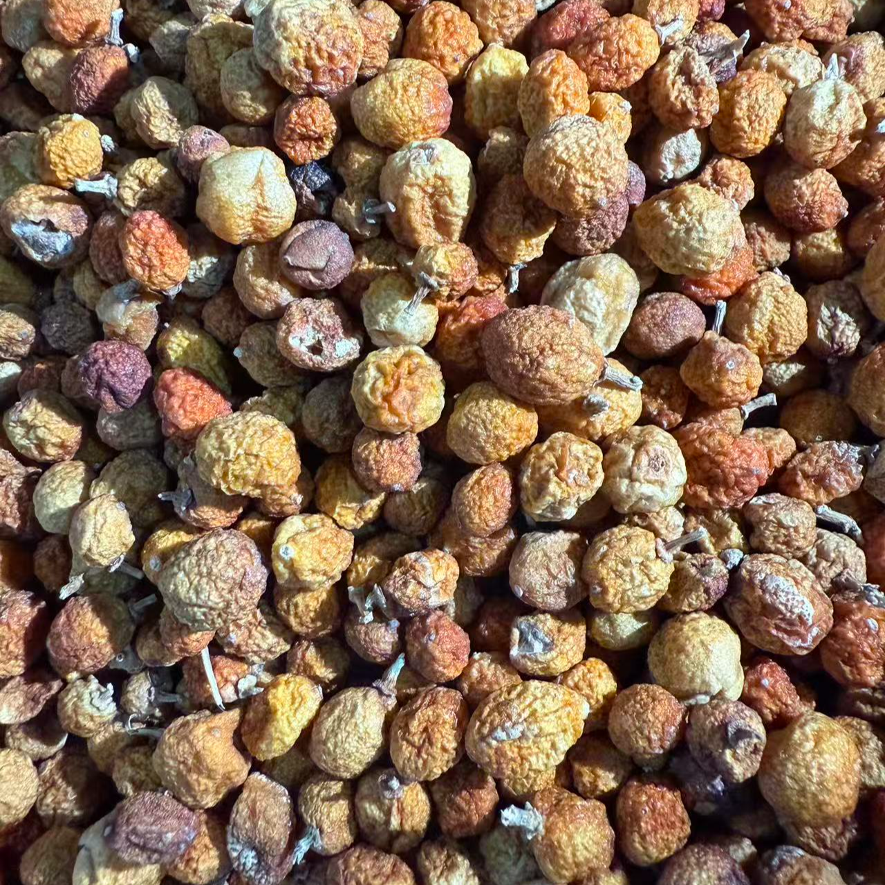 【直播福利】正宗新会古井崖山盘龙桔