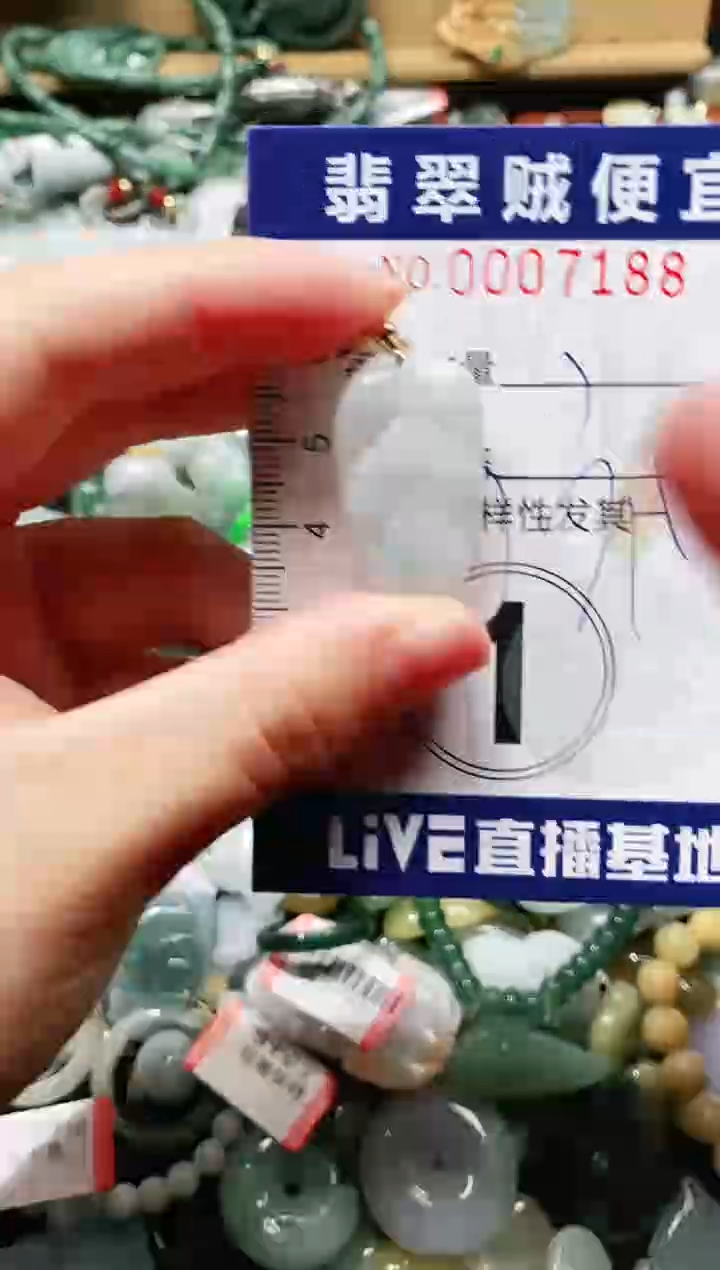 【闪购商品】翡翠颈饰未镶嵌闪购0007188