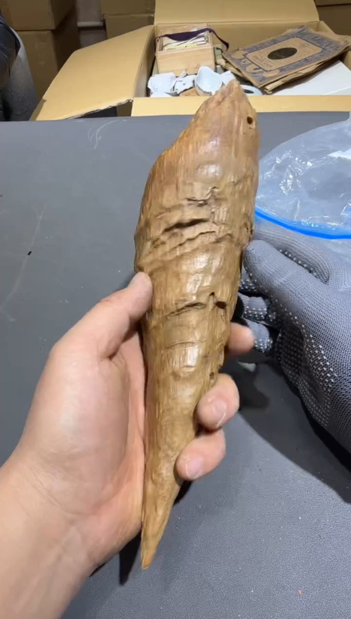 【闪购商品】杯孤品收藏2号店中古品