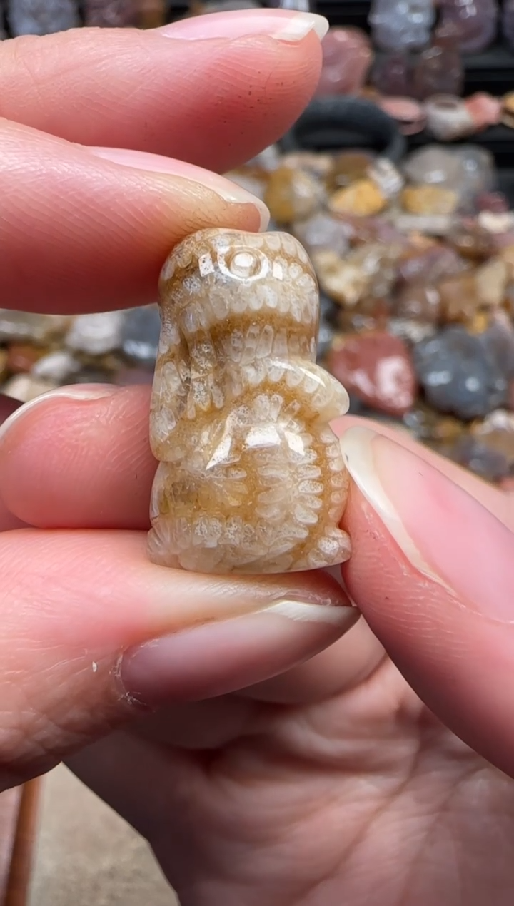 颈饰未镶嵌硅化珊瑚（珊瑚玉）408