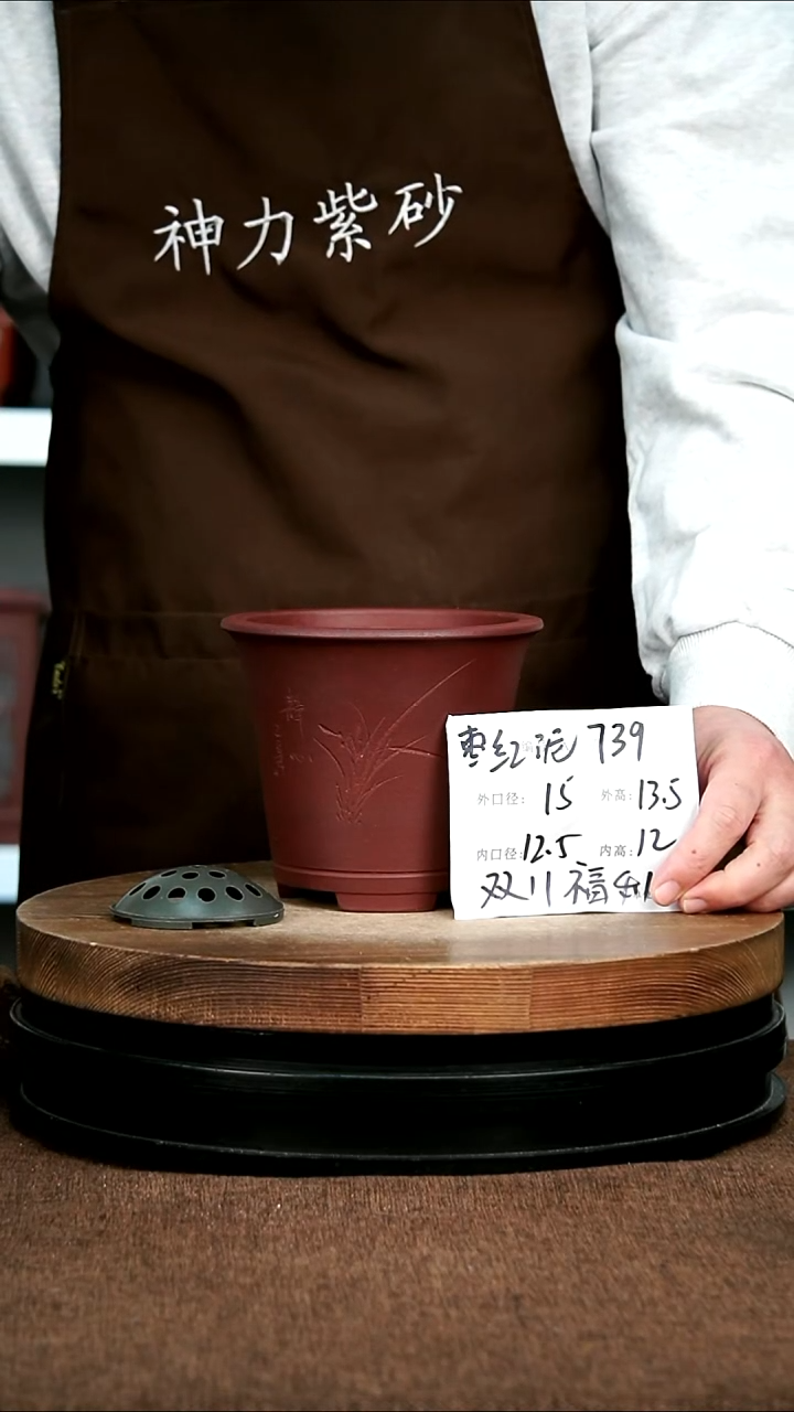 紫砂花盆花卉园艺739