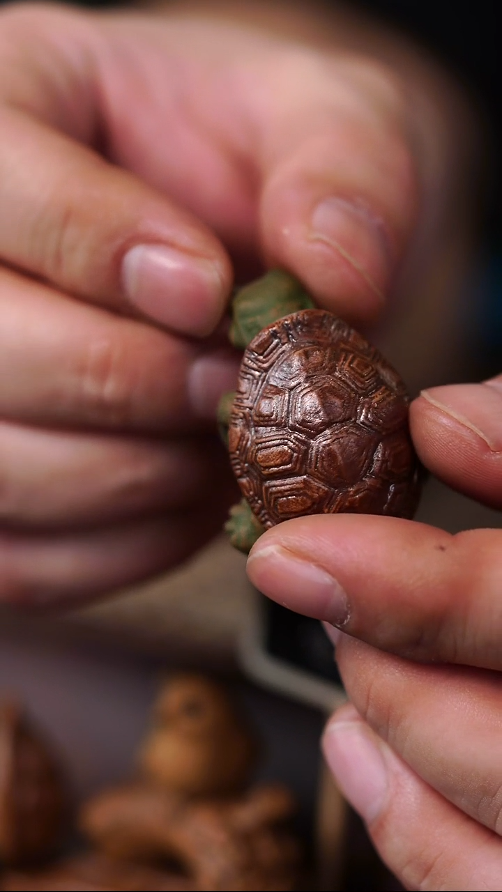原矿茶宠小乌龟富甲一方