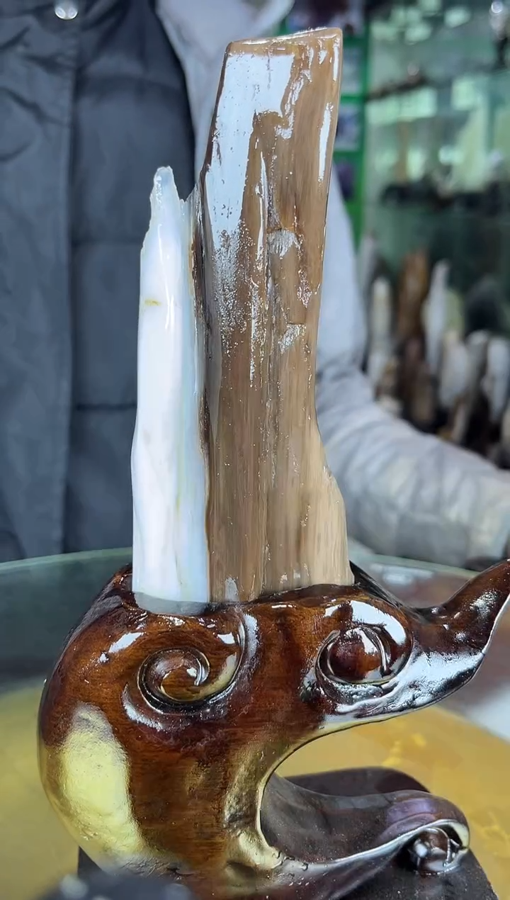 未镶嵌珠宝奇石硅化玉缅甸天然树化玉摆件