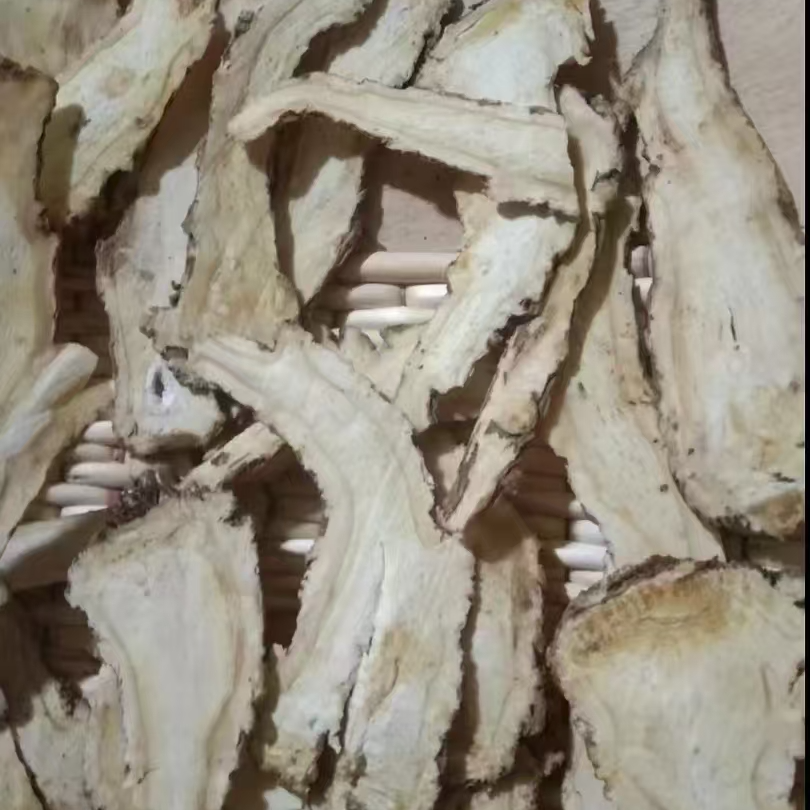 农家特产当归头片