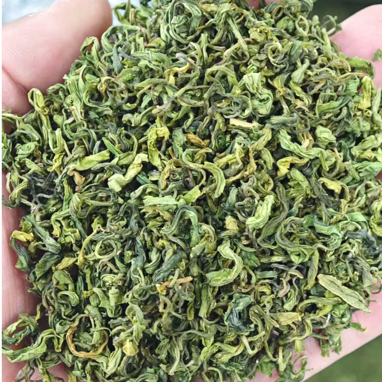 高山手工白茶浓香耐泡茶叶