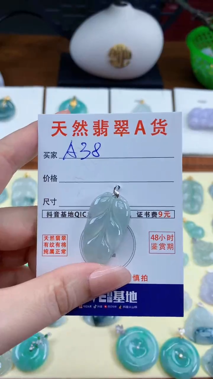 颈饰未镶嵌翡翠天然A货翡翠挂件