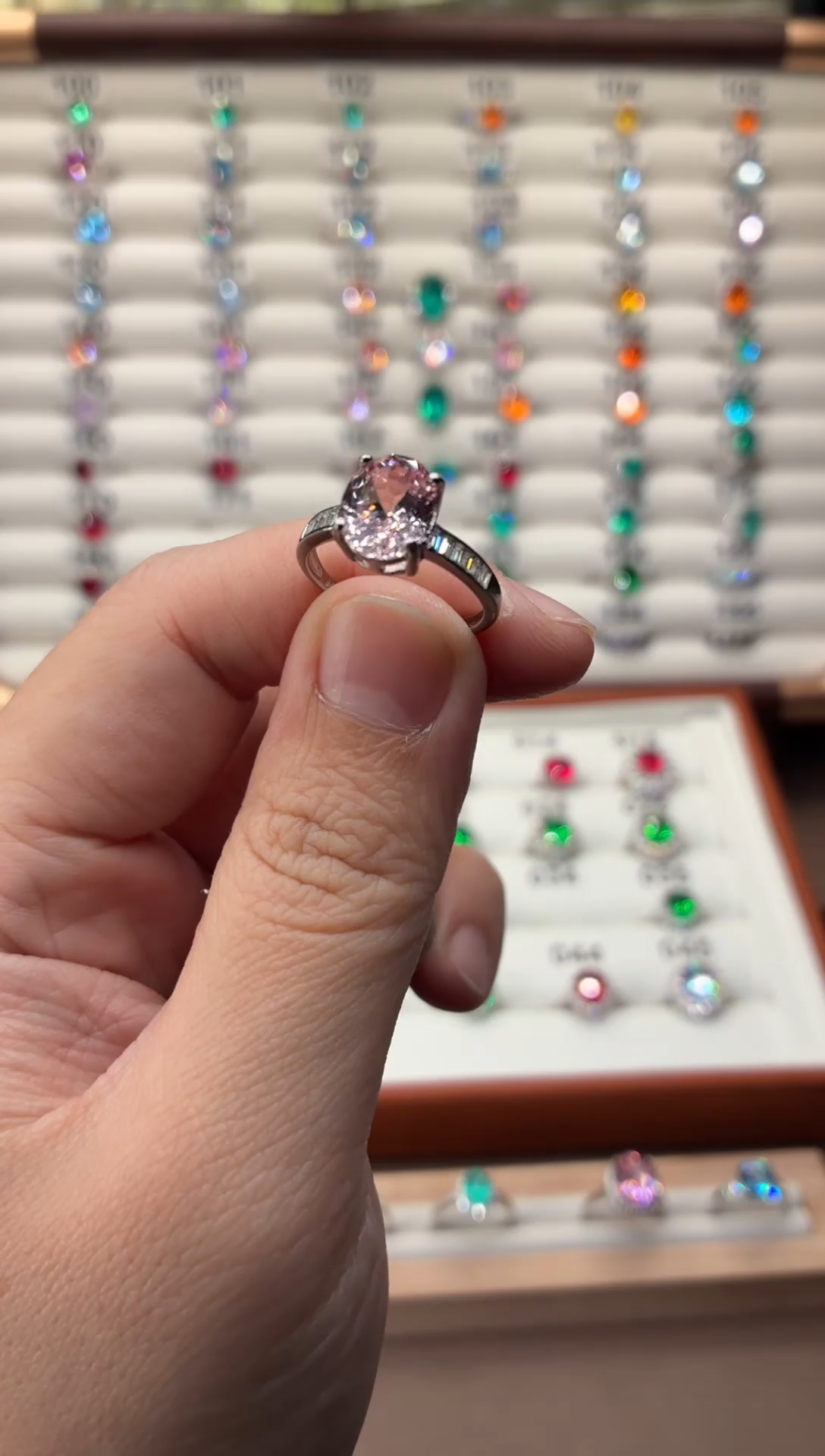 1紫牙乌/石榴石（处理）0919