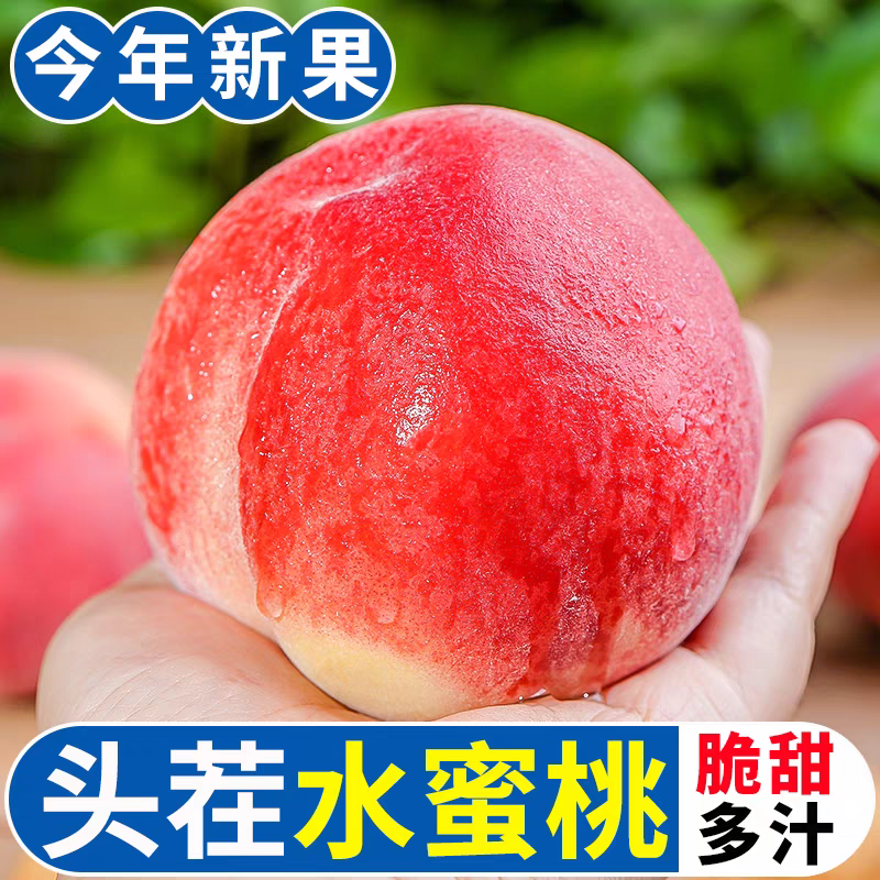 现摘现发桃子新鲜水果应季水蜜桃特甜红脆桃毛桃当季时令水果整箱
