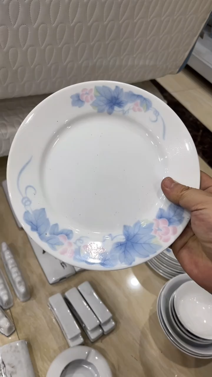 8寸湖南醴陵釉下五彩陶瓷