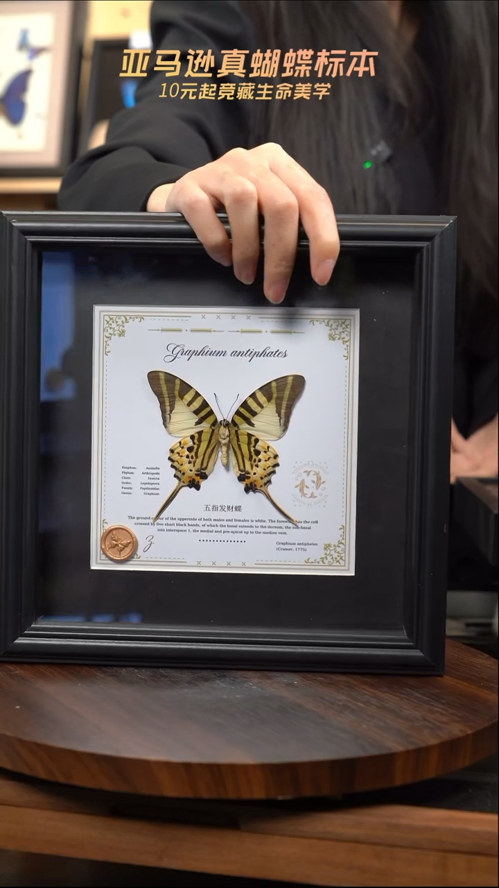 五指发财蝶双鱼款8寸欧式方框