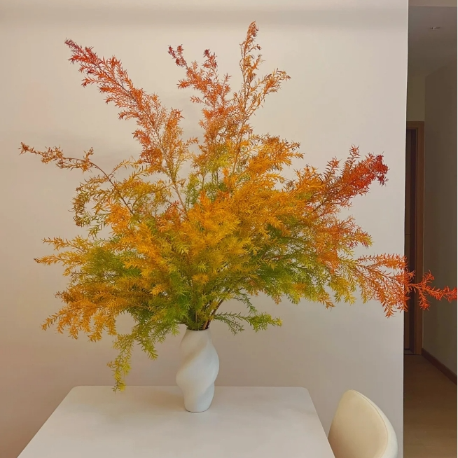 【1米2左右长度，不截杆】千层金+营养液