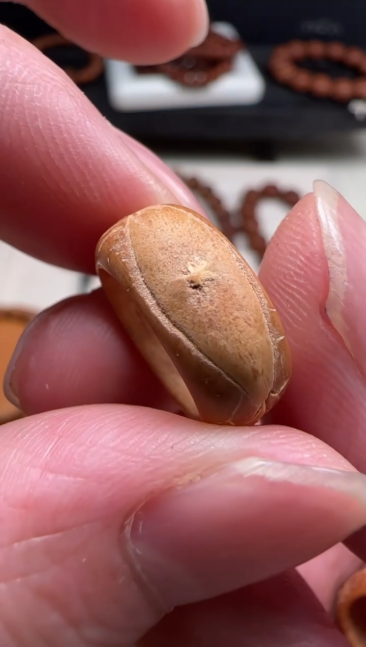 【闪购商品】凤眼菩提吊坠8号跑环