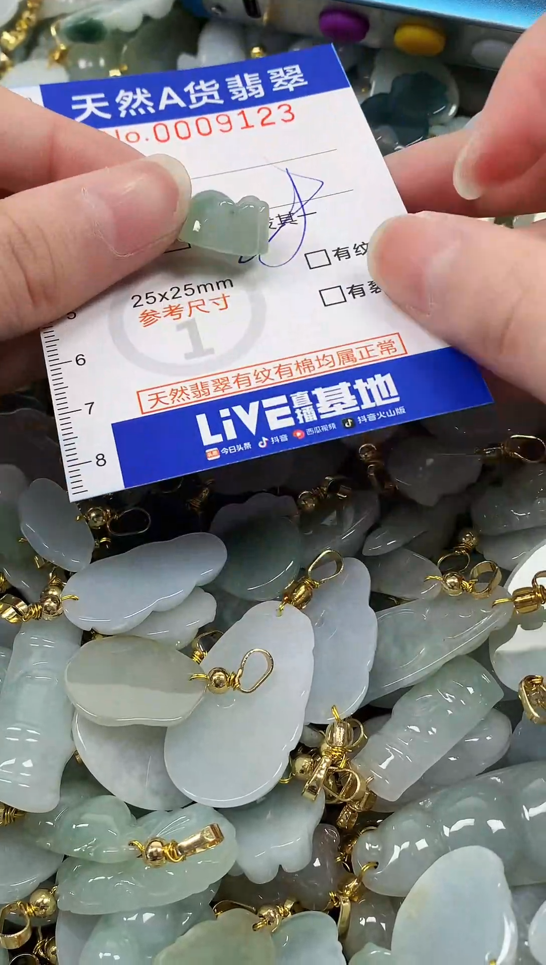 颈饰未镶嵌翡翠纯天然a货翡翠