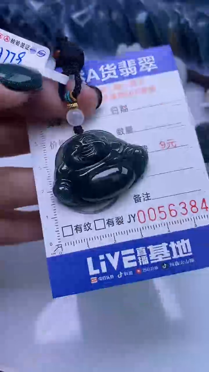 【闪购商品】翡翠颈饰未镶嵌A货翡翠6384