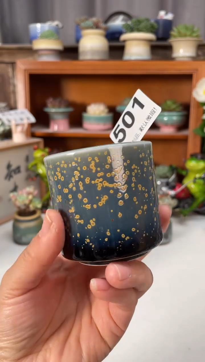 瓷片501小芳直播编号