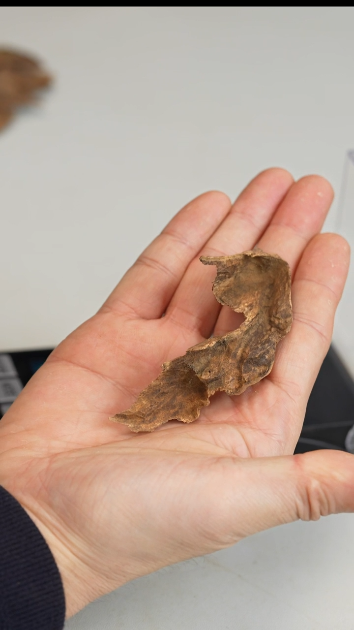 沉香沉香碎屑海南料2.5g