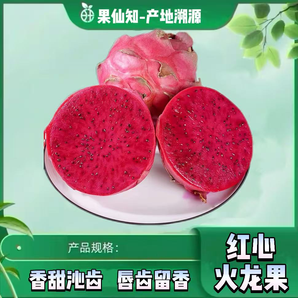 【海南红心火龙果】皮薄肉厚50大果【5颗】