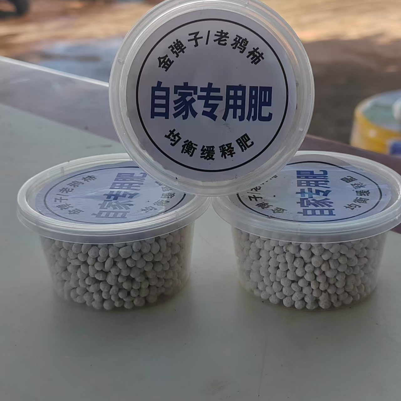 无品牌自家院子使用.金弹子老鸦柿盆景