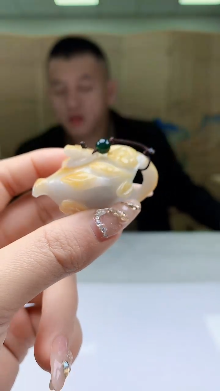【闪购商品】定制翡翠未镶嵌4812ty-毛货挂件20