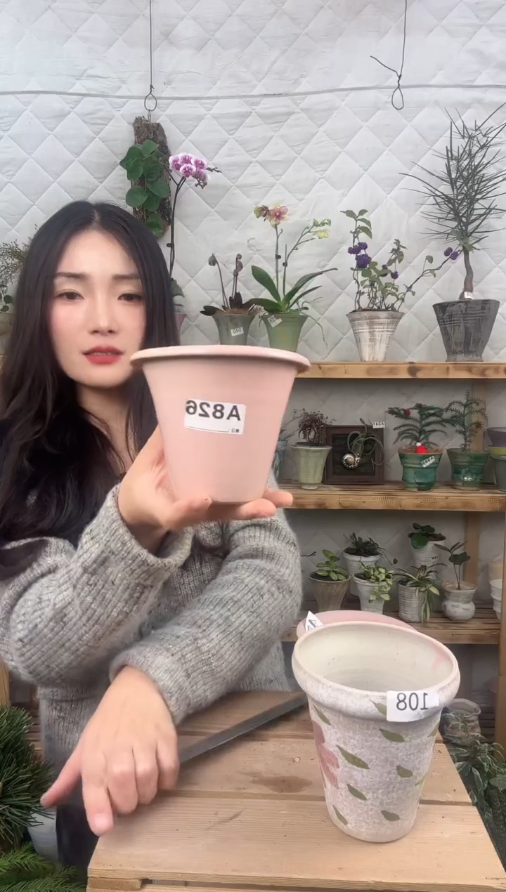 无花朵编号 826景德镇手工盆