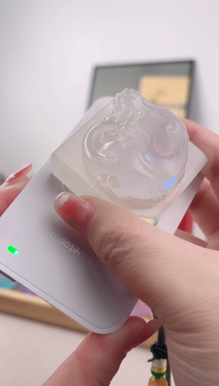 巴****开牡丹白色普通