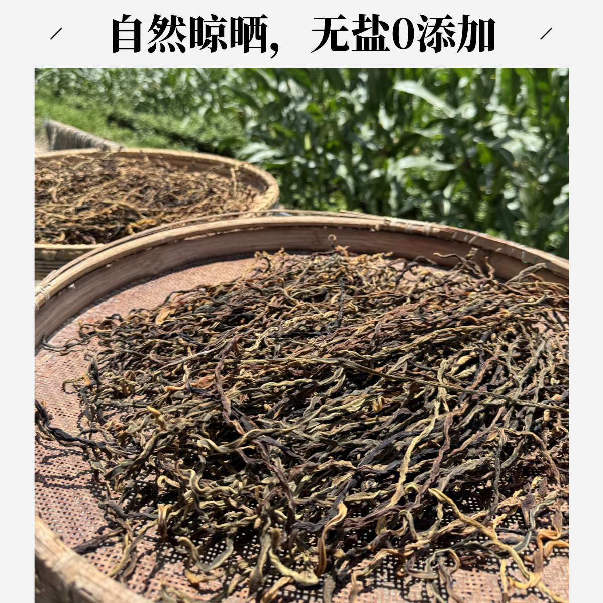 黄山农家自然日晒干豆角2025新货高山生态无污染干菜干货