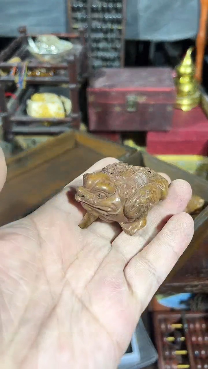 【闪购商品】黄杨木11111111111111111111