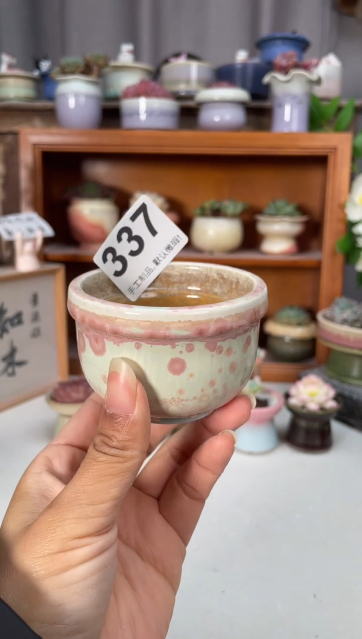 瓷片337知木小芳花盆