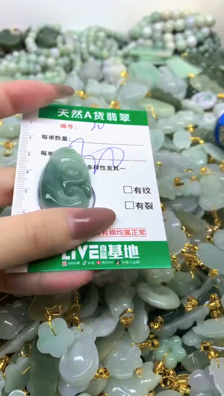 颈饰未镶嵌翡翠纯天然缅甸A货翡翠