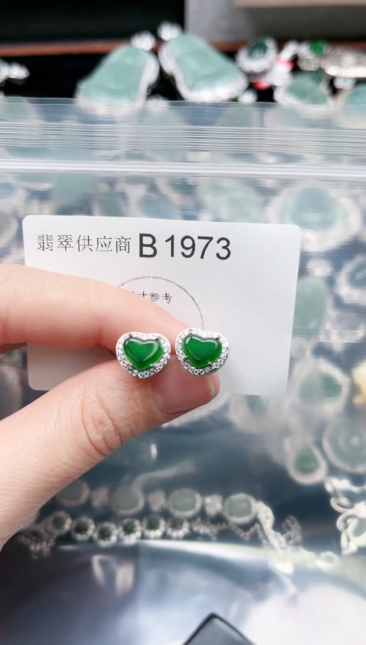 【闪购商品】翡翠颈饰未镶嵌赠皮绳1973