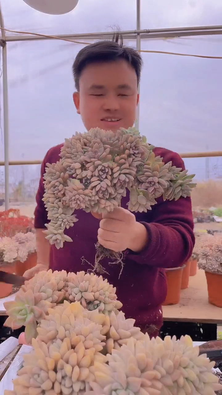 【闪购商品】缀化147