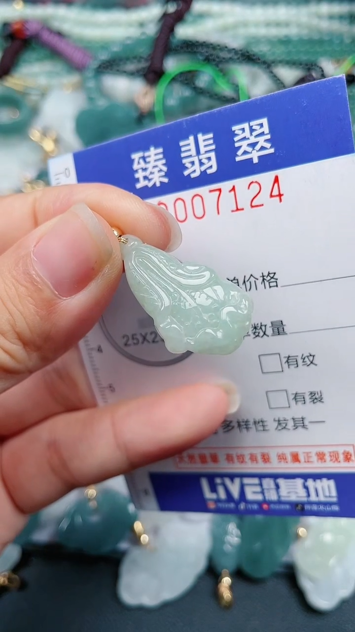 颈饰未镶嵌翡翠.0007124