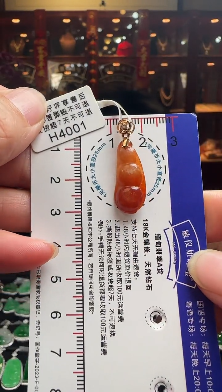 【闪购商品】翡翠颈饰18K金镶嵌H4001红翡富贵豆