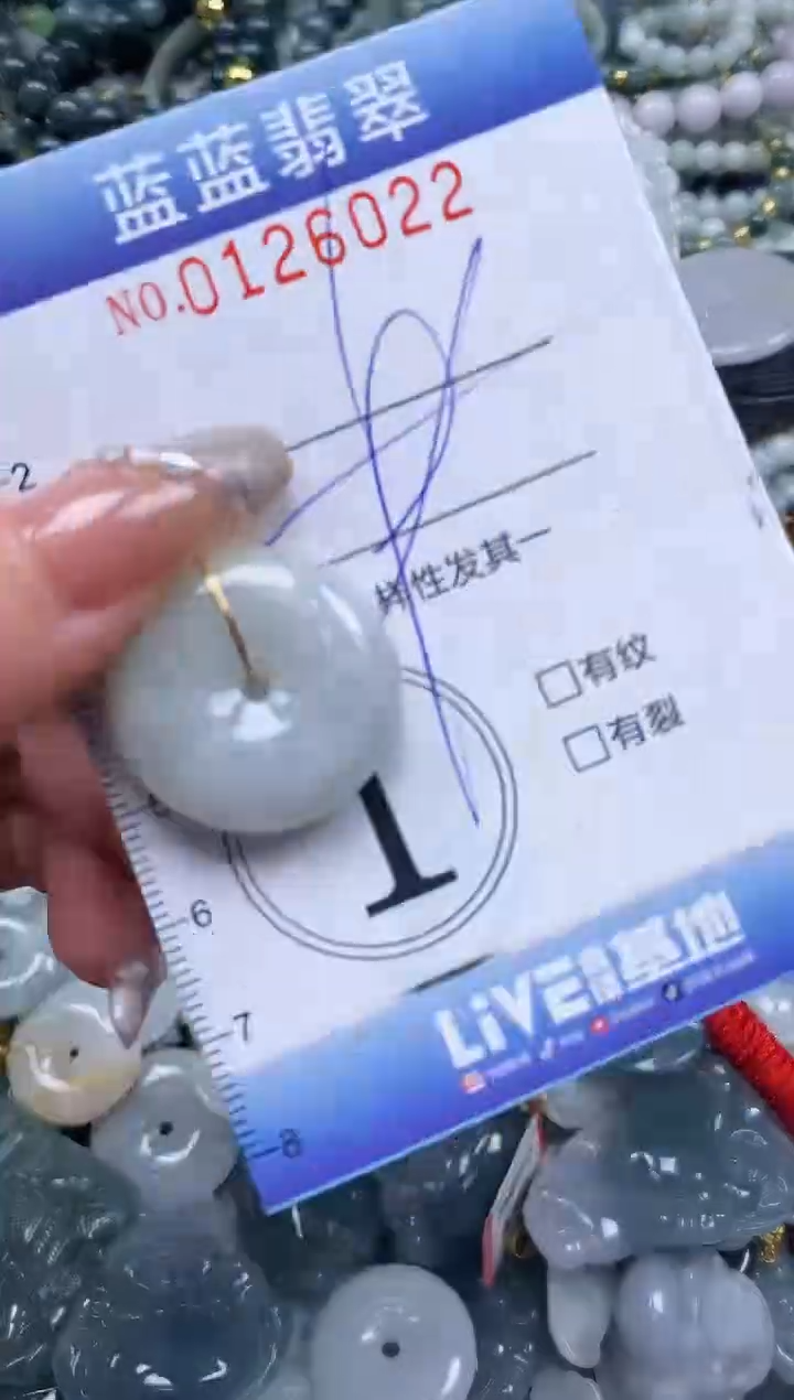 【闪购商品】翡翠颈饰未镶嵌闪购0126022多样性发其一