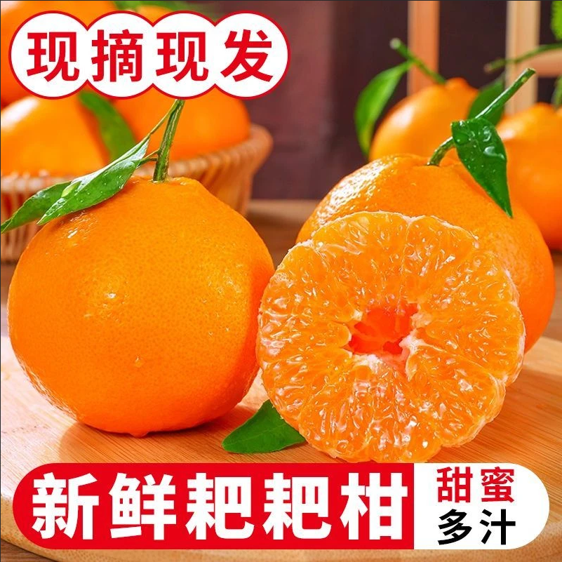 正宗四川耙耙柑春节果冻橙新鲜现摘爆甜多汁水果