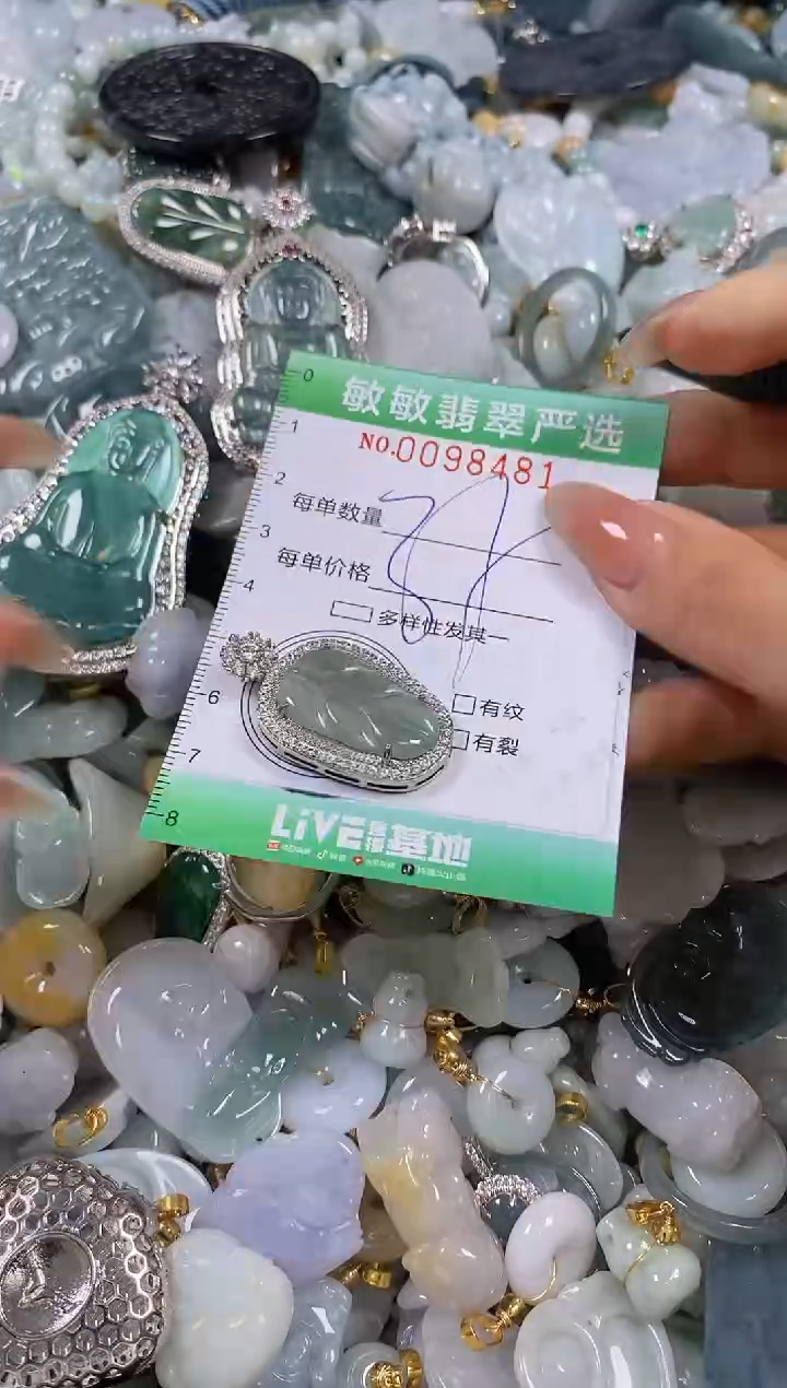 【闪购商品】翡翠颈饰未镶嵌闪购0098481