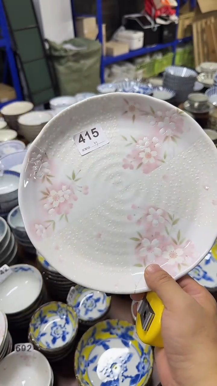 圆形日本进口  24厘米 大盘