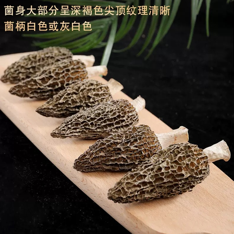 【苗乡绿源】当季头茬精品羊肚菌大个肉厚肥美干货煲汤包5-7厘米
