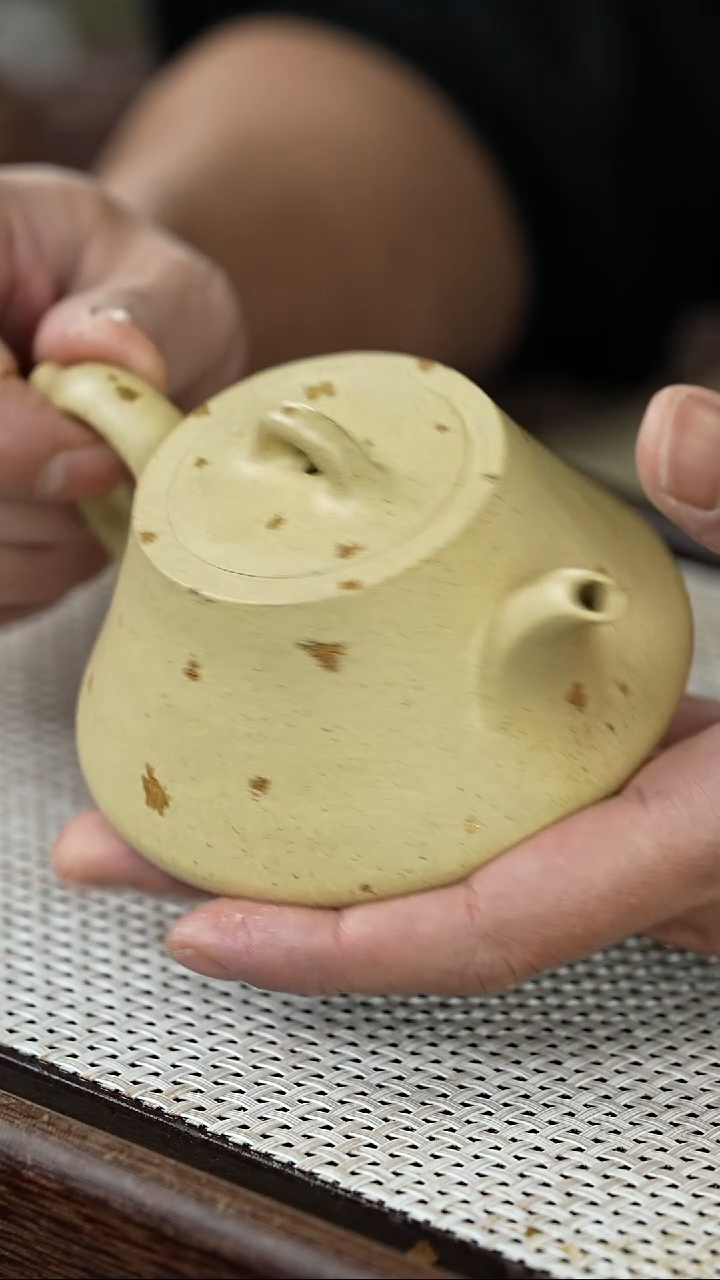 【闪购商品】紫砂茶壶@@3276陈明方云瓢洒金