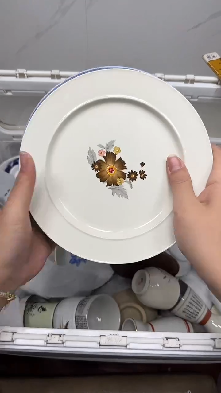 【闪购商品】594回流瓷器默认微瑕，18.8包邮