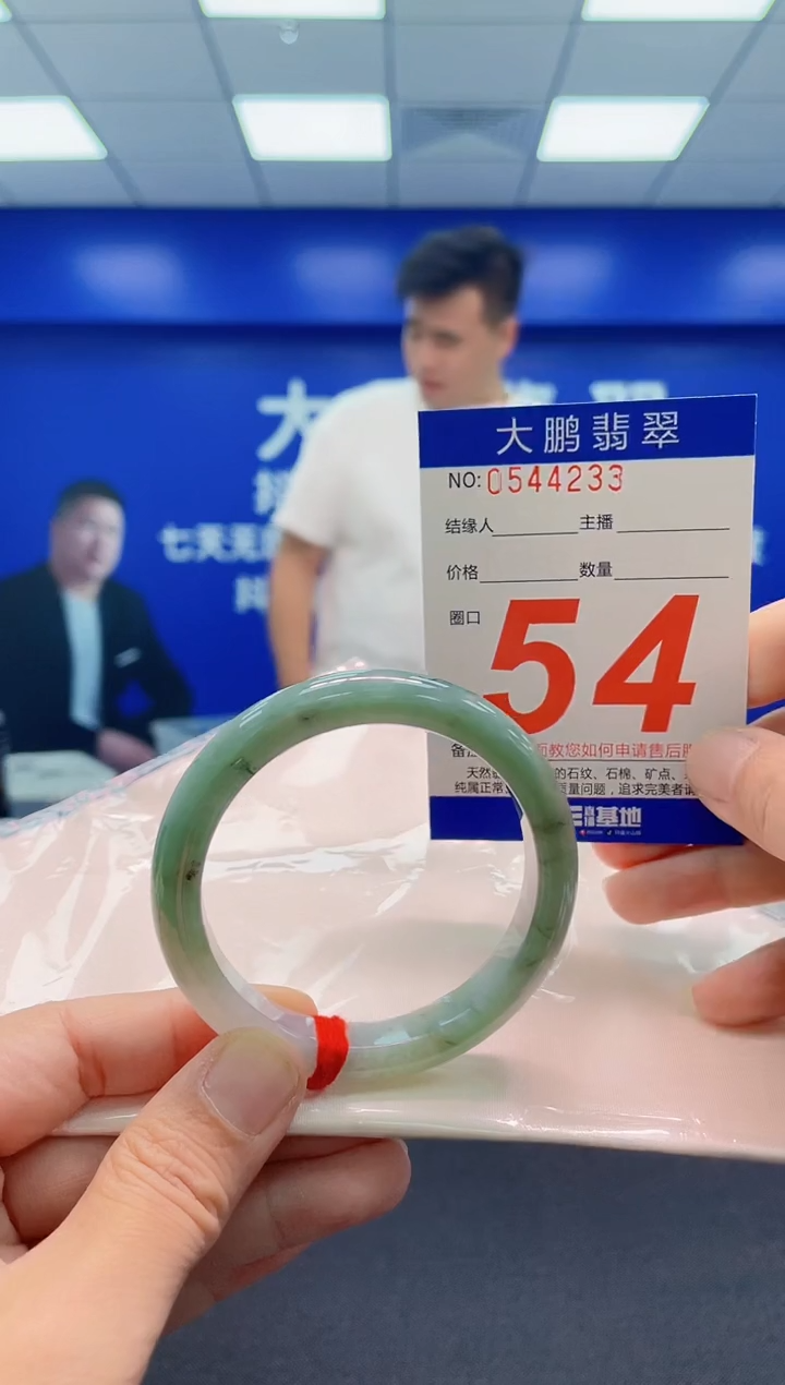 未镶嵌手镯翡翠AAAAAAAAA