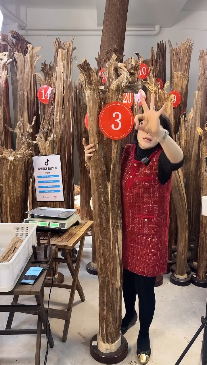 【闪购商品】沉香摆件沉香摆件多样性发一件46