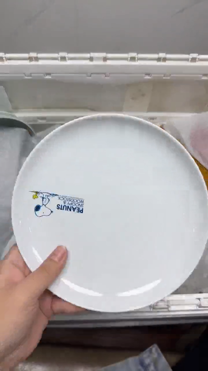 【闪购商品】854回流瓷器默认微瑕，18.8包邮