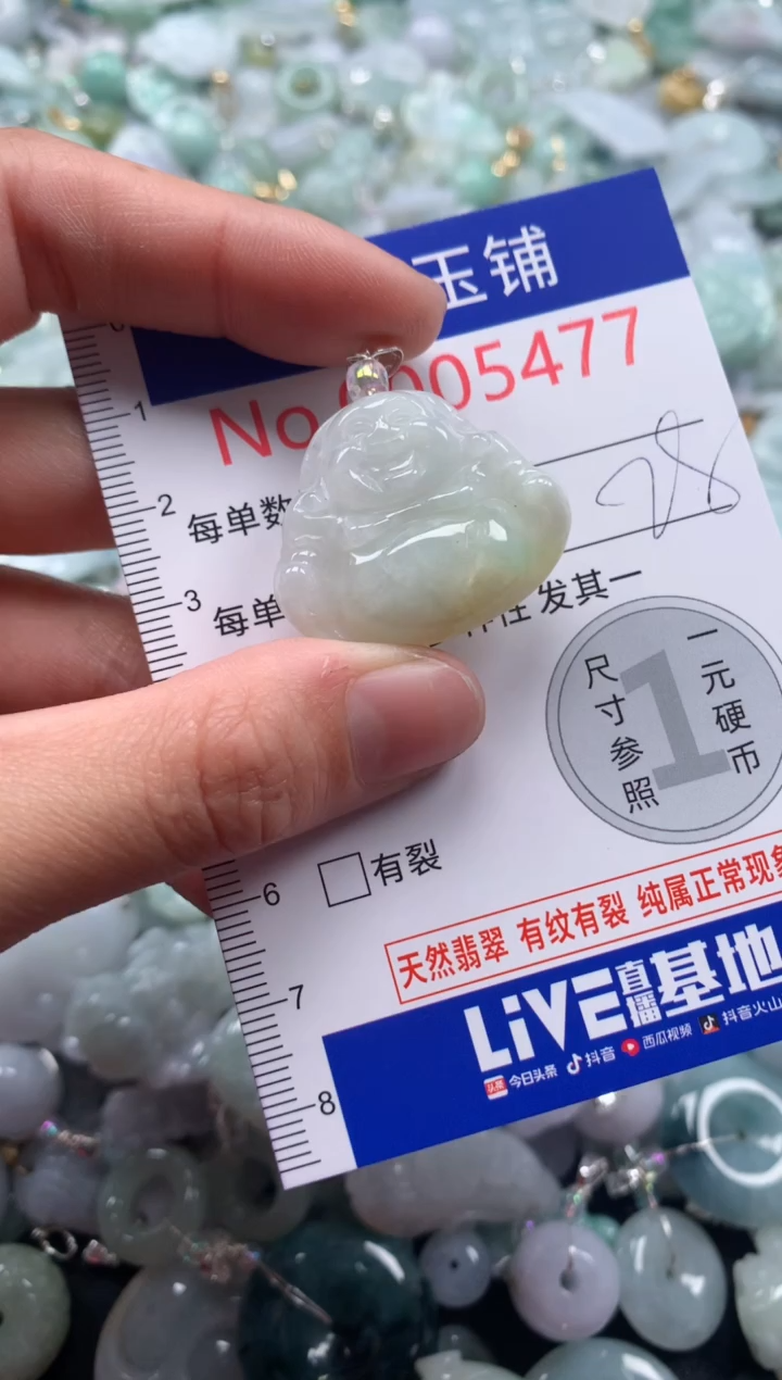 颈饰未镶嵌翡翠5477