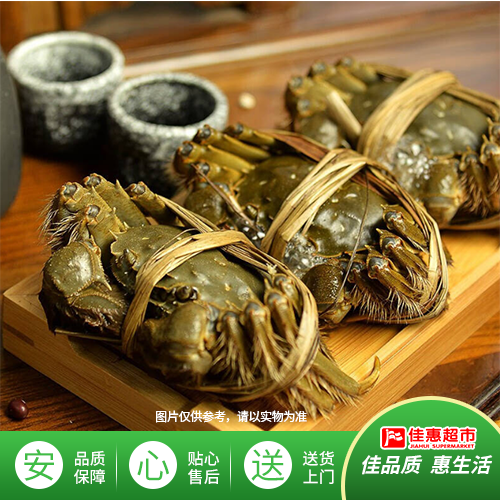 大闸母蟹1.8-2.0
