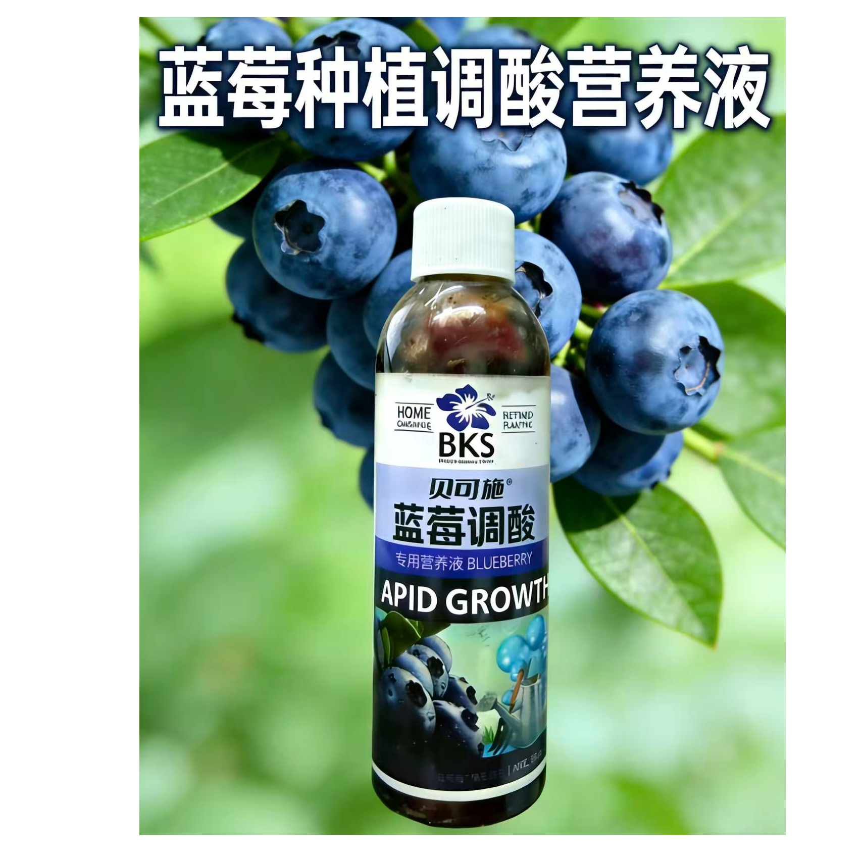 （蓝莓专用调酸剂）土壤调酸适合蓝莓果苗盆栽家庭阳台种植