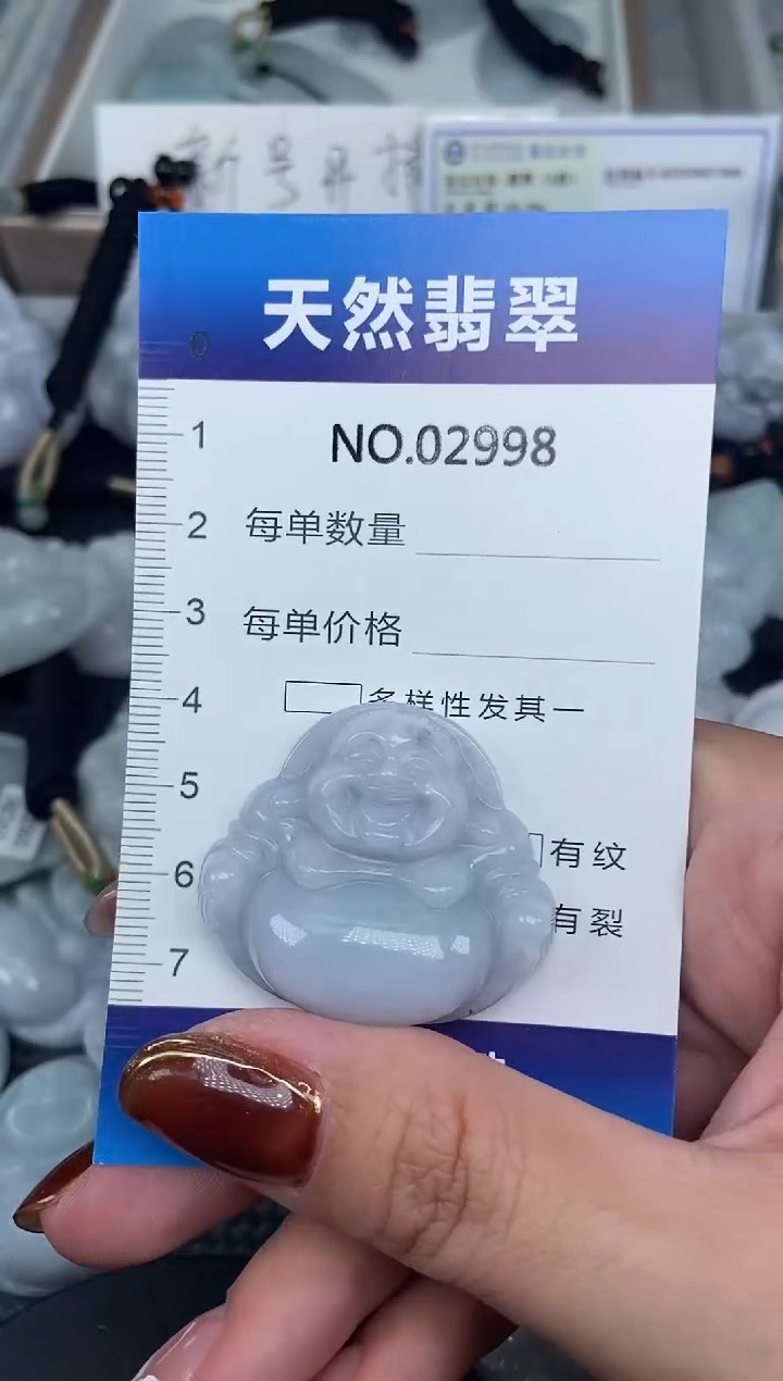 颈饰未镶嵌翡翠纯天然A货翡翠2998