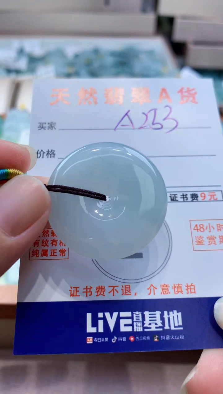 颈饰未镶嵌翡翠天然翡翠挂件  